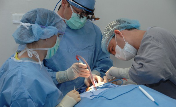 A 5 anni ha il volto paralizzato: ciò che scoprono sul bimbo è terribile