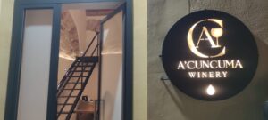 'A Cuncuma Winery, nella Palermo dei Beati Paoli la nuova enoteca che valorizza le piccole realtà enologiche siciliane